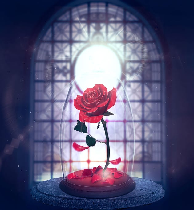 How to Create an Enchanted Rose Photo Manipulation in Adobe Photoshop