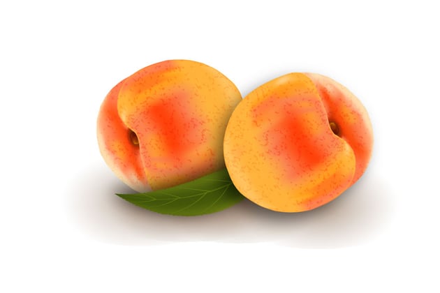How to Draw Vector Peaches Using Gradient Mesh in Adobe Illustrator
