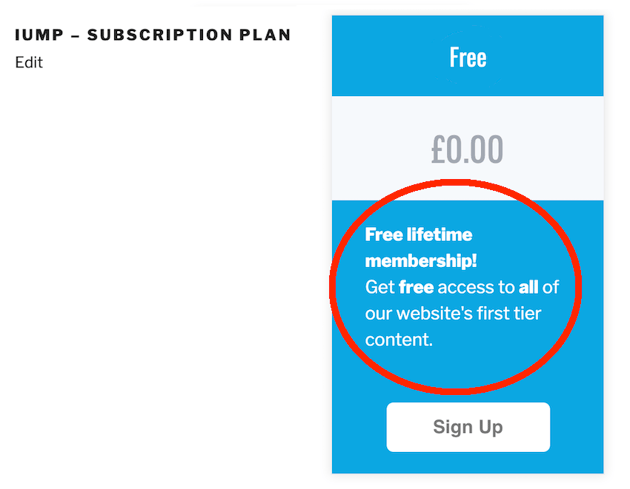 You can provide some sales text which is displayed in the subscription level box