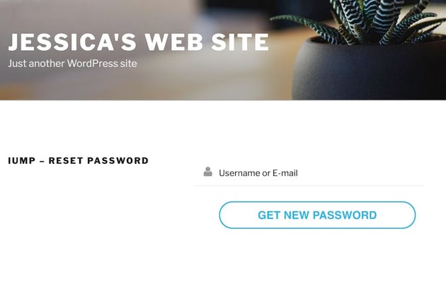 The Reset Password page allows users to recover their password using their email or username