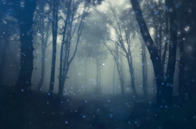 Apply small particles to the photograph