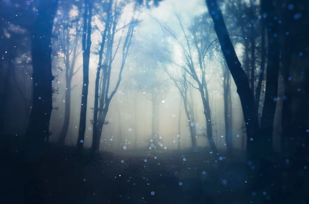 Apply back light particles