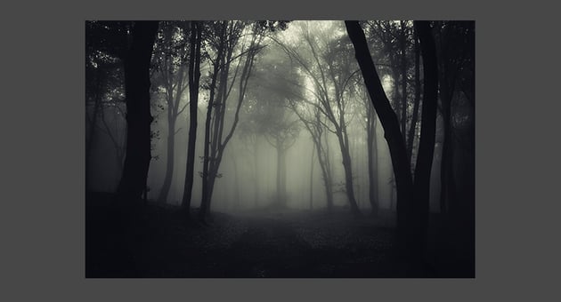 Use an existing photograph