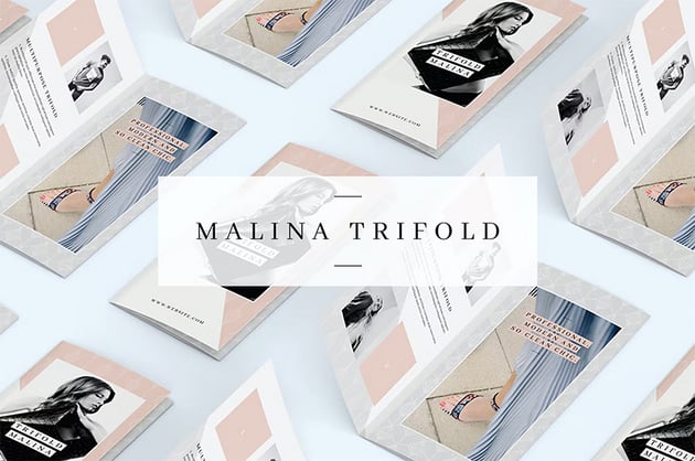 malina trifold brochure