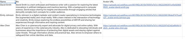 author info for webflow blog