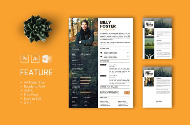 Popular Resume from Envato Elements