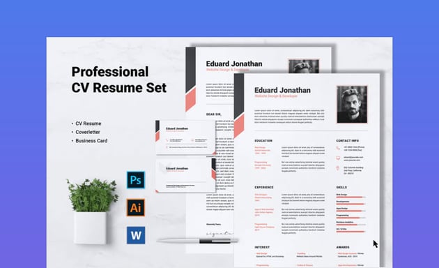 CV Resume Set