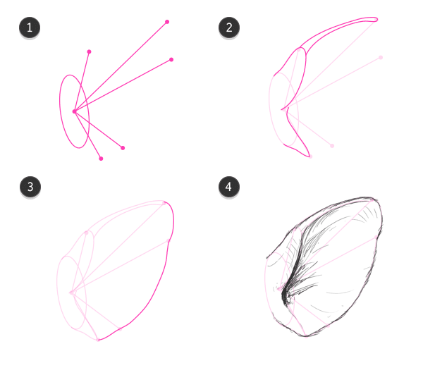 How to Draw Animals: Domestic Pigs Wild Boars and Warthogs Envato Tuts 