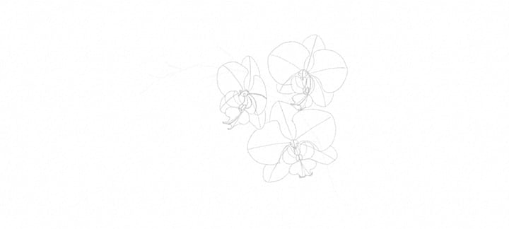 How to Draw a Flower