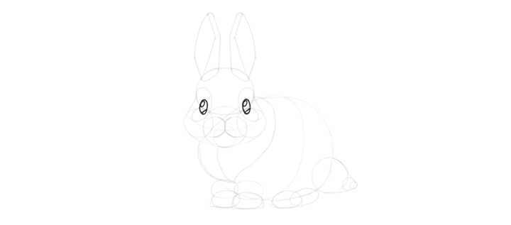 How to Draw a Cute Bunny Step by Step
