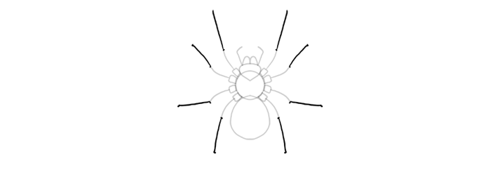 Cómo Dibujar una Araña Paso a Paso | Envato Tuts+