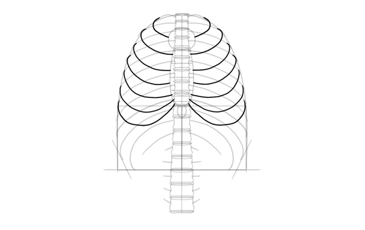 How to Draw a Skeleton Step by Step | Envato Tuts+