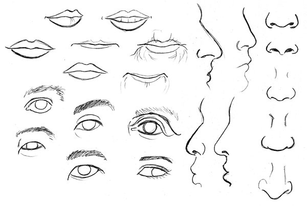 Human Anatomy Fundamentals: Advanced Facial Features | Envato Tuts+