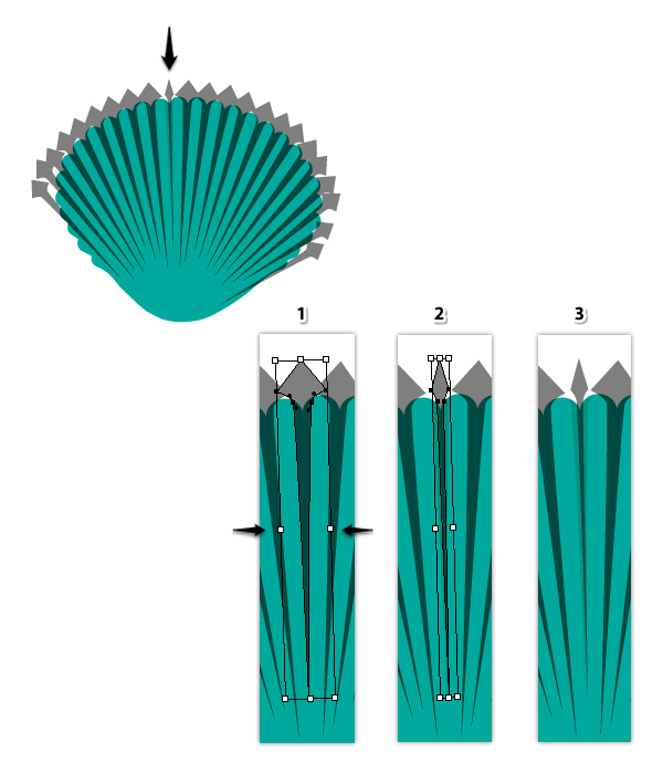 Quick Tip: Create a Simple Seashell in Adobe Illustrator | Envato Tuts+