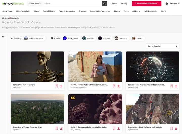 How to Use a Looping Video Background in PowerPoint | Envato Tuts+