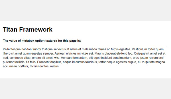 A Beginners Guide To Titan Framework Adding Text And Textarea Types