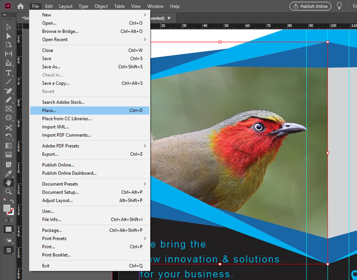 Como Cambiar El Color De Una Imagen En Indesign