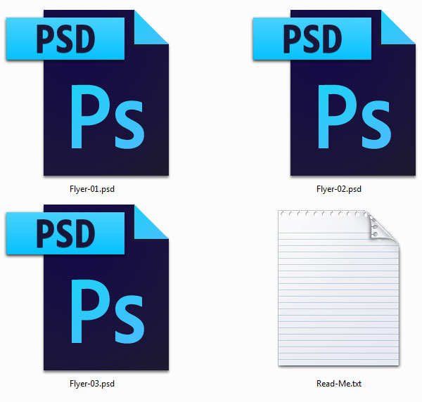 Files contained in the zipped package