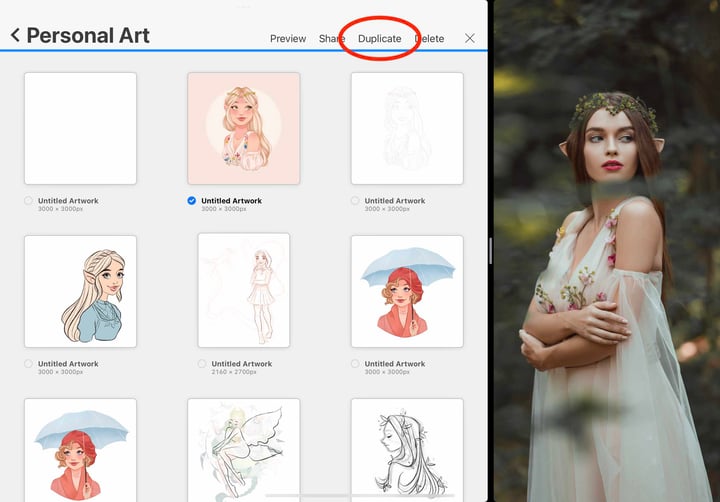 duplicate is circled in red