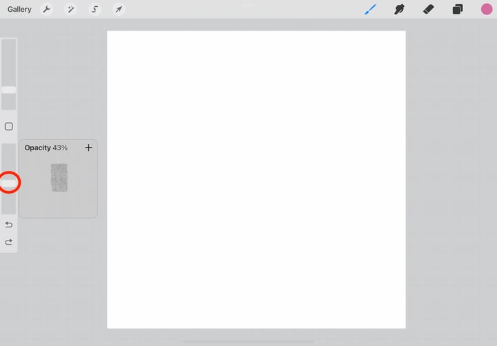 the brush opacity slider is circled in red