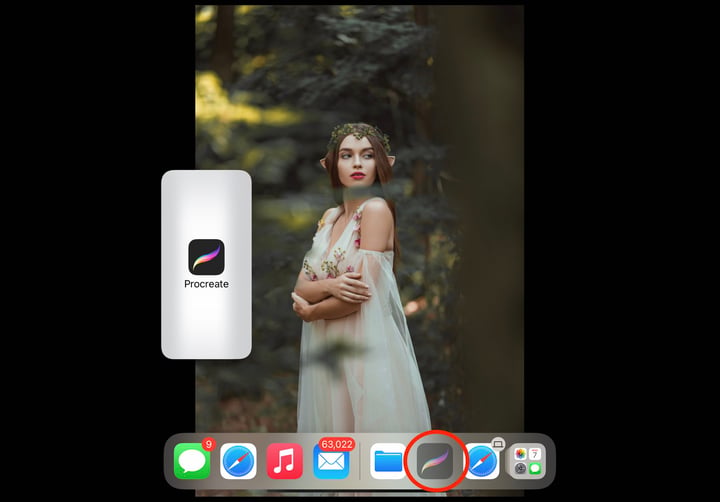 the procreate icon is circled in red, and has been dragged towards the left of the screen