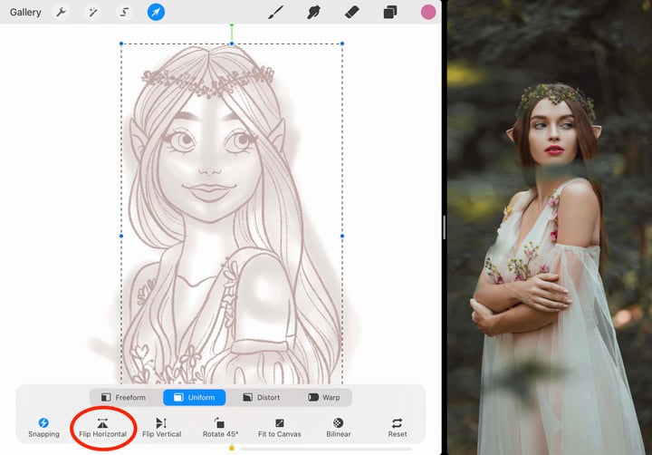 flip horizontal is circled in red