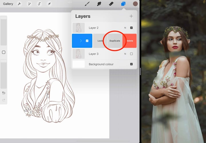 duplicate is circled in red