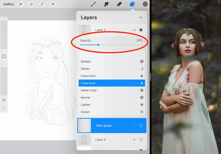 the opacity slider is circled in red