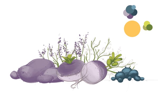 Heather flowers