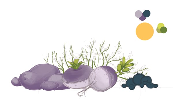 Turnip base