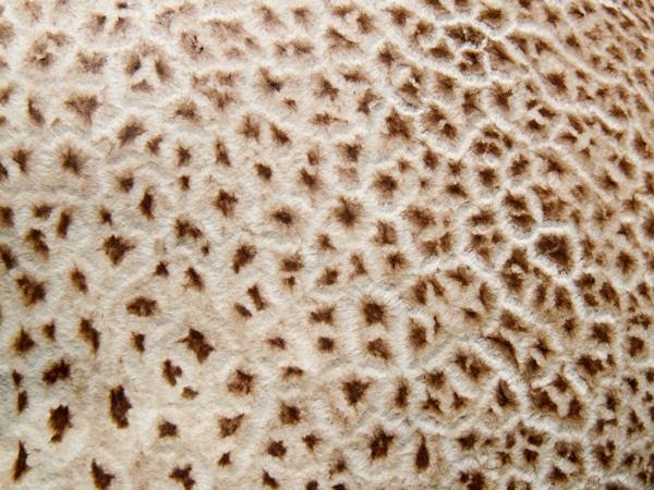 40 Terrific Photographic Textures | Envato Tuts+