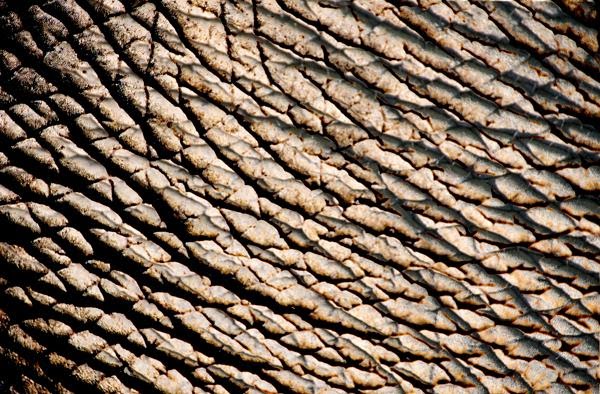 40 Terrific Photographic Textures | Envato Tuts+