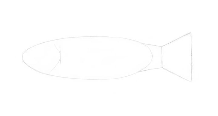 How to Draw a Fish | Envato Tuts+