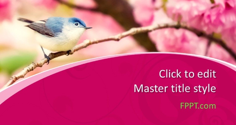 Bird - Pink PowerPoint Background