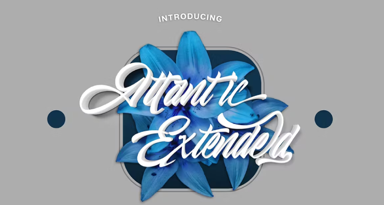 Atlantic Extended - Calligraphy