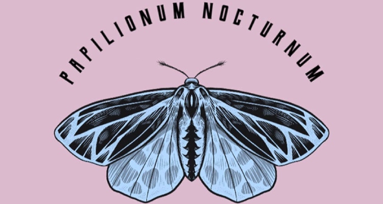 Magic Moth Butterfly Logo Company