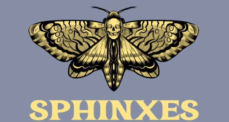 Yellow and Black Butterfly Logo