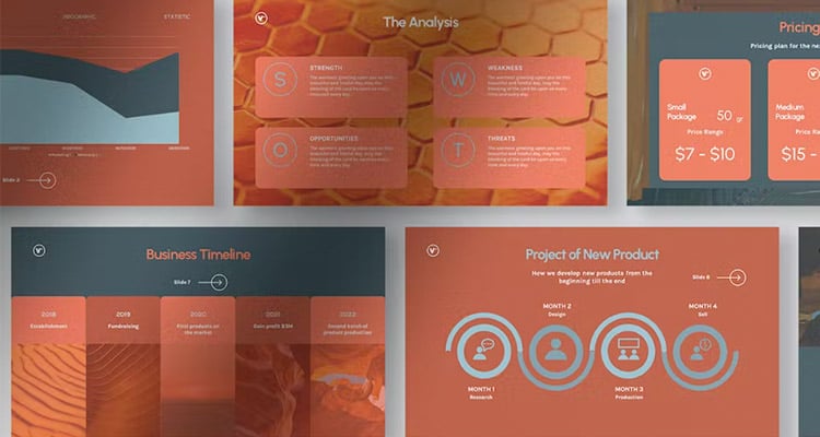 Vienzo: A Professional Infographic PPT Presentation