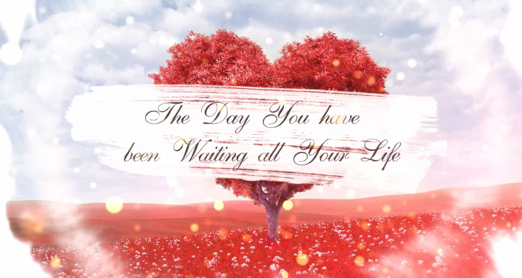 color wedding slideshow