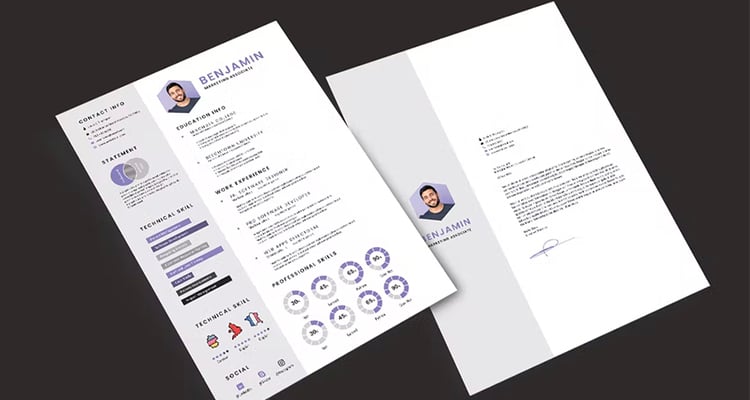 Clean Resume CV