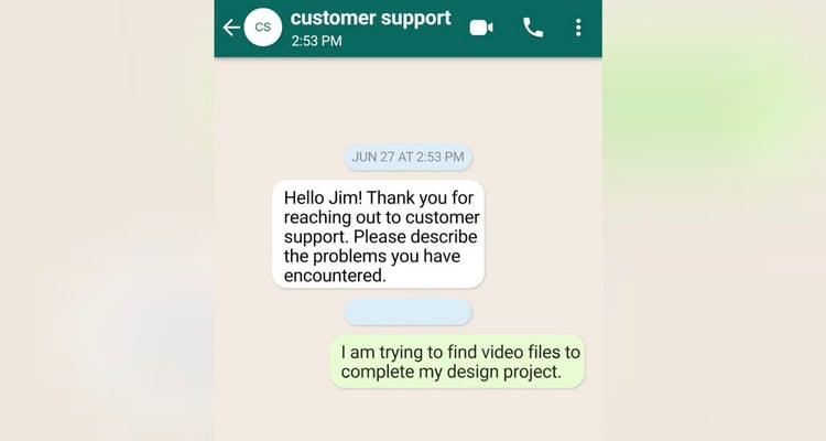 Beige background with white and green text bubbles and black text on top. Green header resembling a text message service screen.