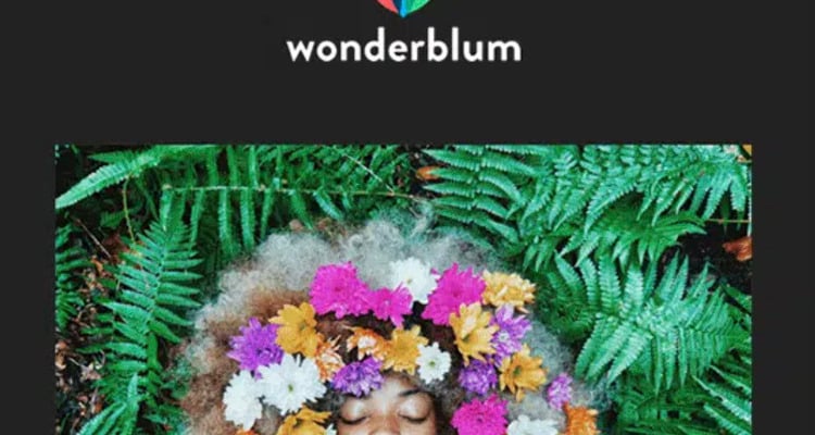 Free Email Newsletter Template