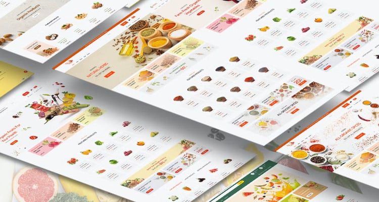 Gracessy - Grocery Store Shopify Theme