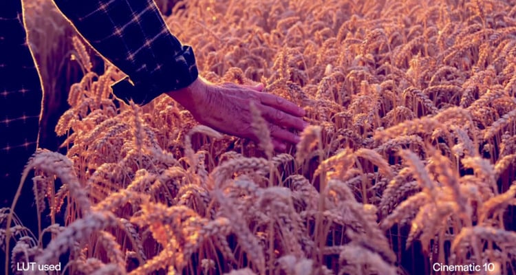 Ultra Color is a LUTs pack for any software