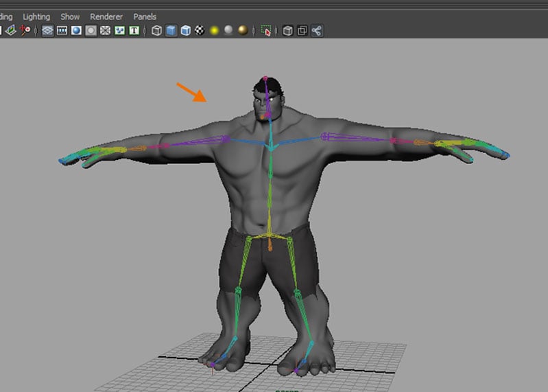 Body rigging done
