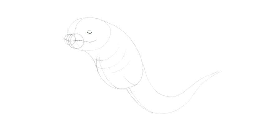 draw lower part of the eye