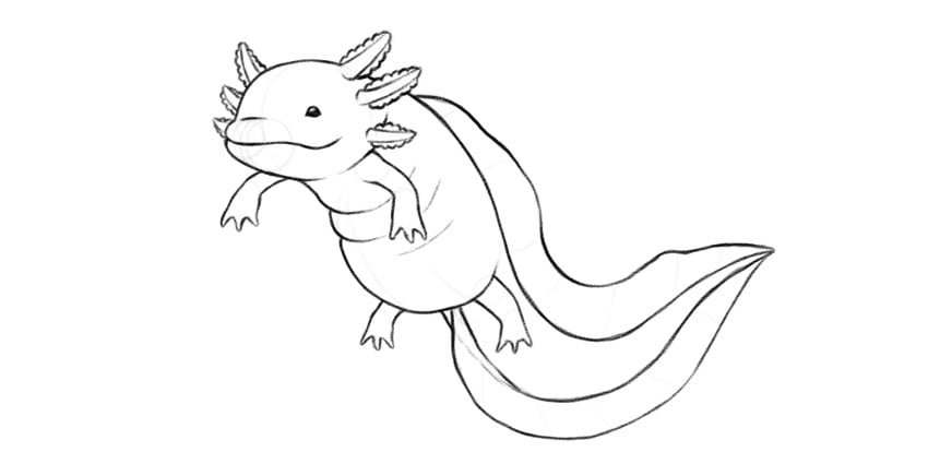 accentuate the lines