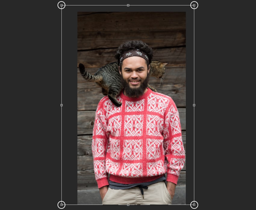 Resizing the image to the borders