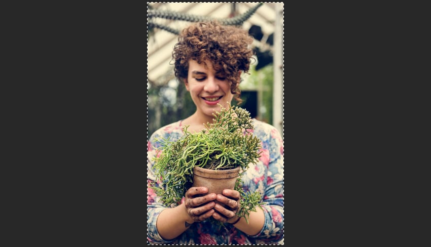 Selecting the canvas of the document