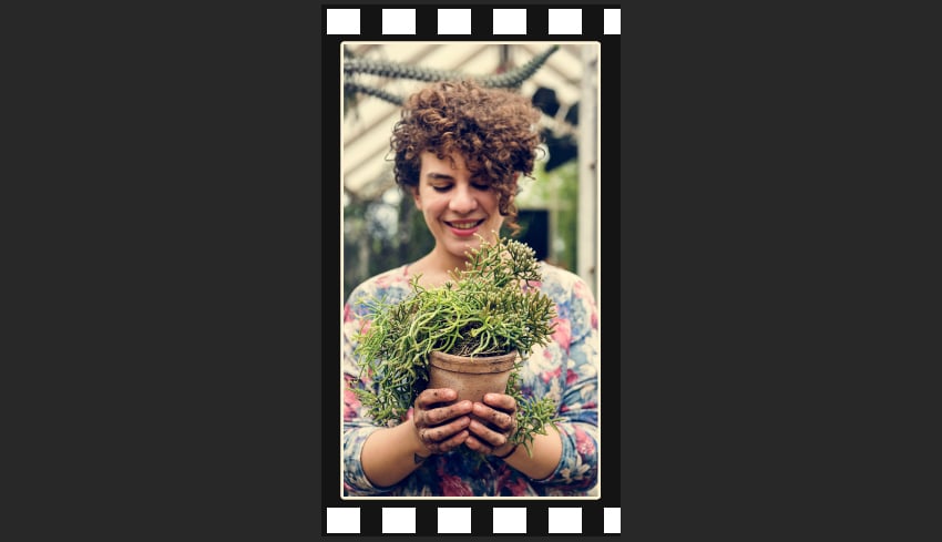 Moving the duplicate of the shape